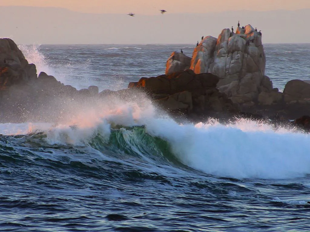 Asilomar Beach 2003-10-12 in Pacific Grove, California