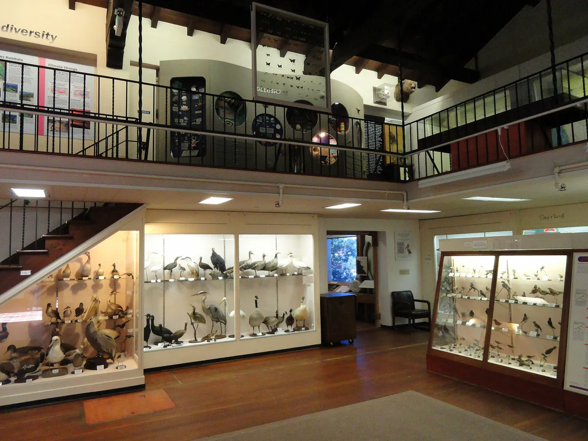 Pacific Grove Museum of Natural History - DSC06577, California