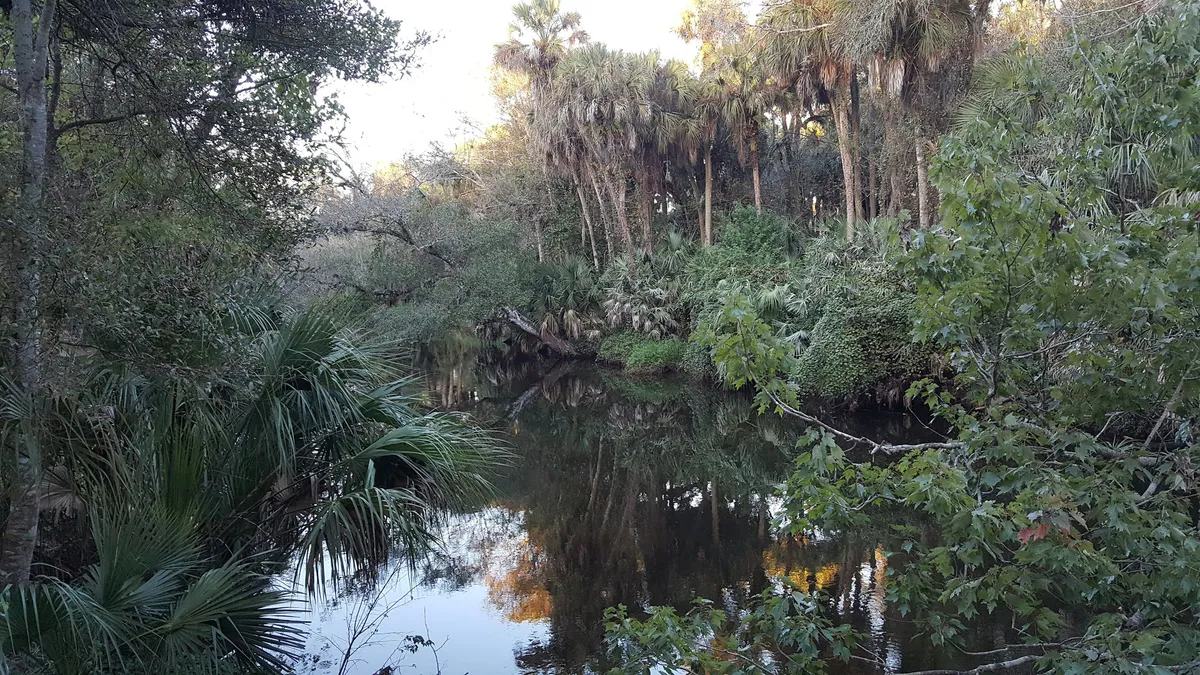Turkey Creek in Palm Bay, FL, Florida