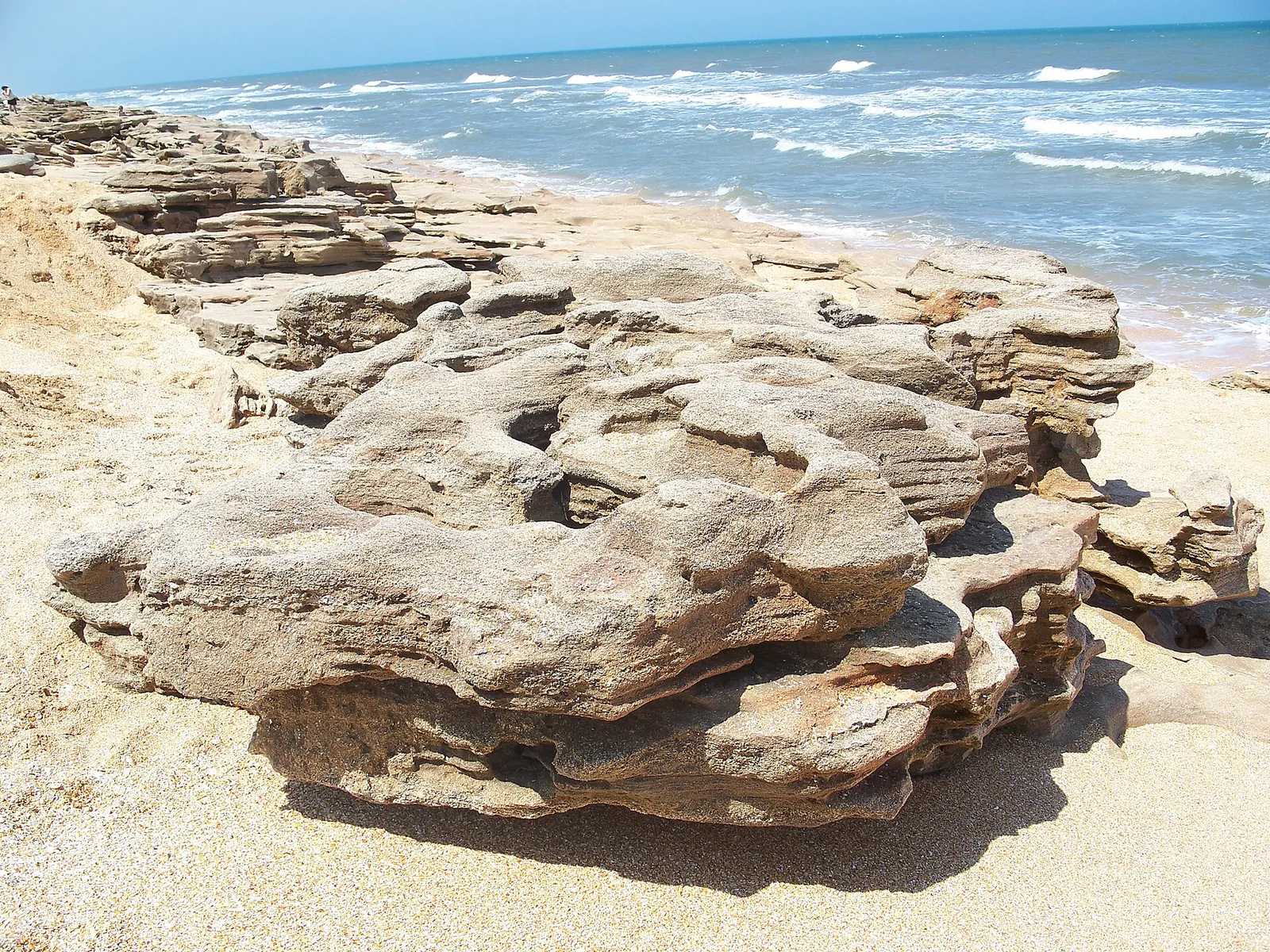 Washington Oaks Gardens coquina01 in Palm Coast, Florida