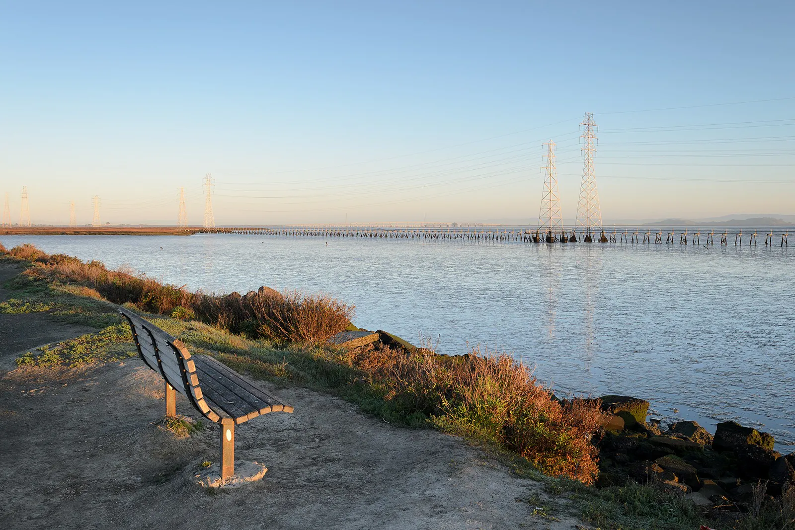 Palo Alto Baylands February 2013 007, California