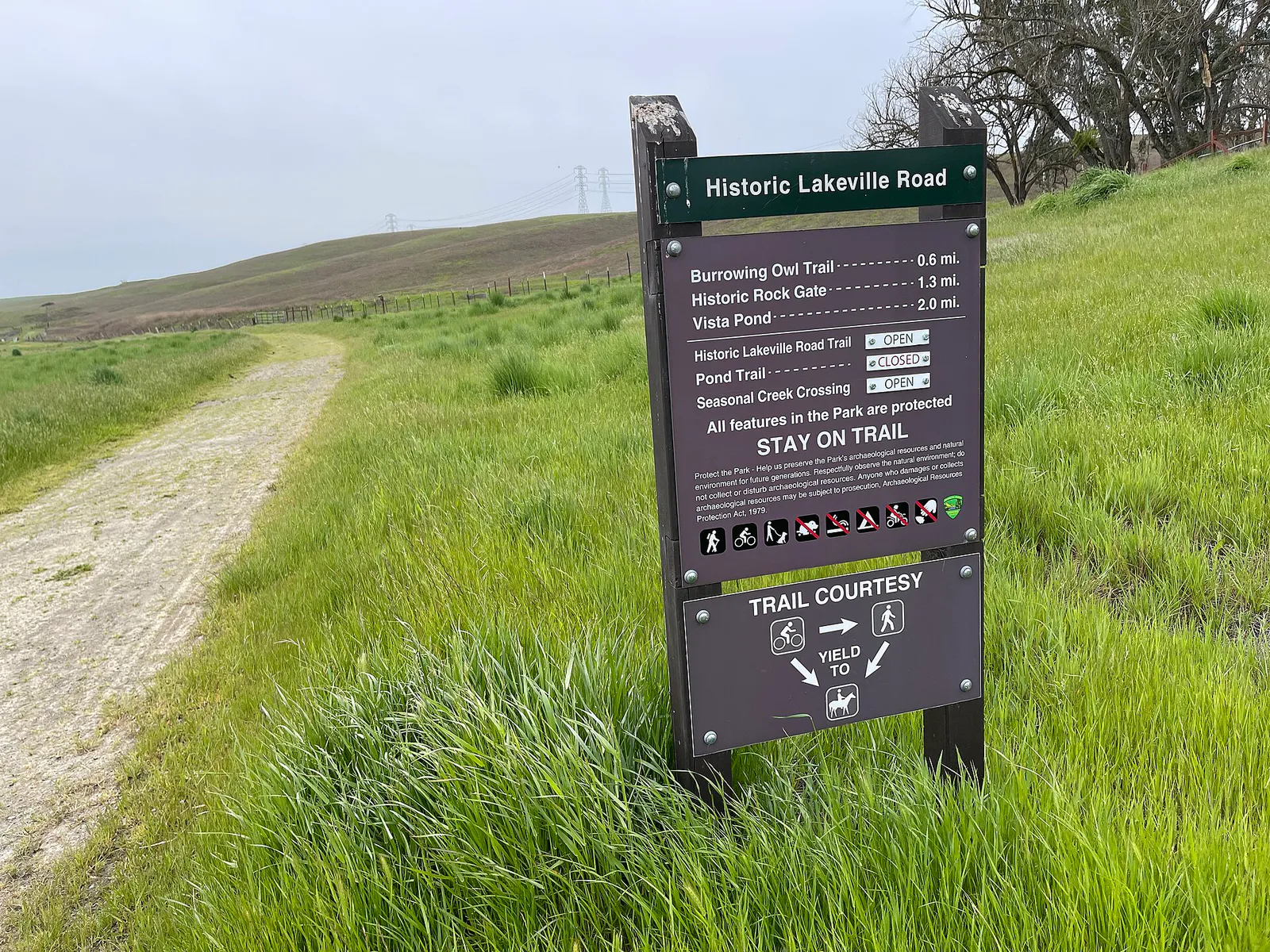 Tolay Lake Regional Park - April 2023 - Sarah Stierch 03 in Petaluma, California
