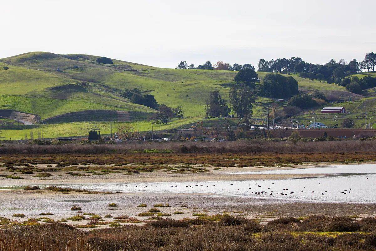 Shollenberger Park, Petaluma, CA (30878911113), California