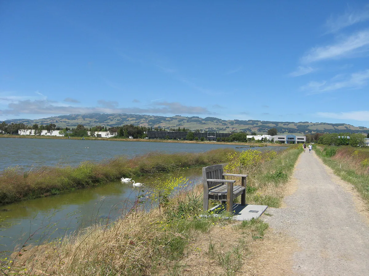 Shollenberger Park, Petaluma, California - panoramio
