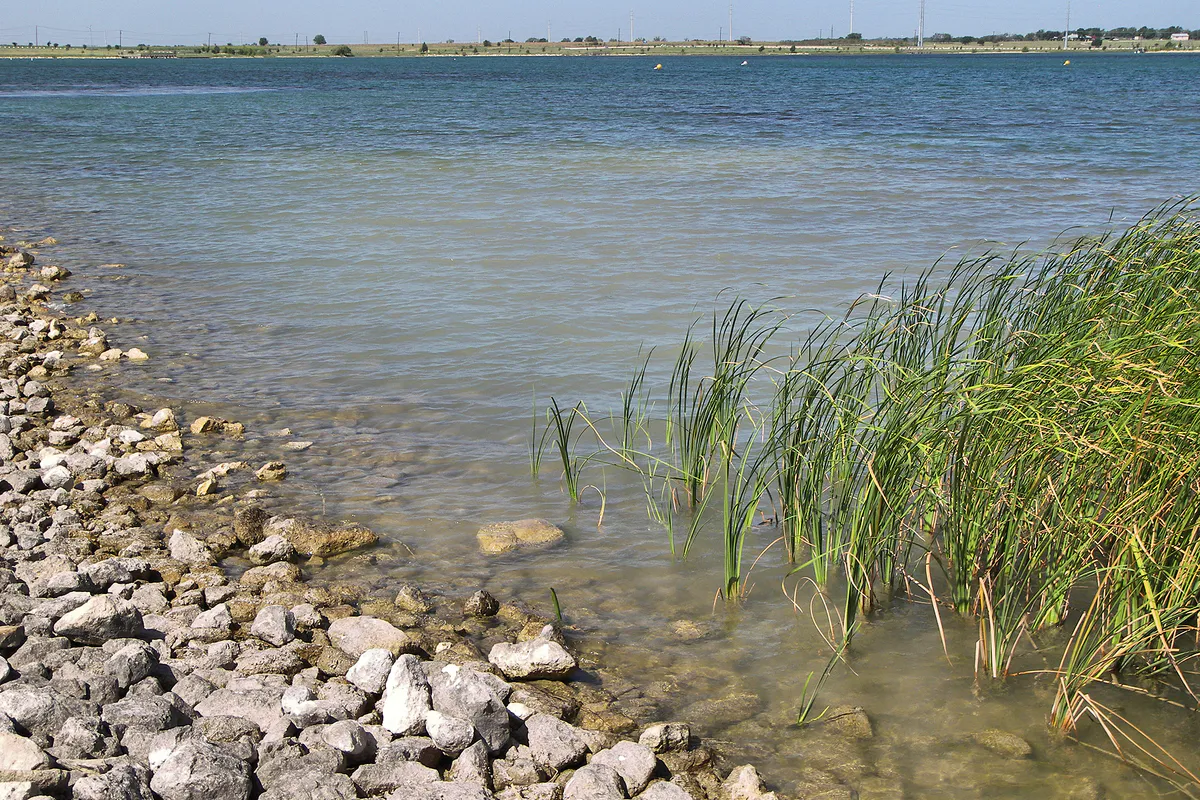 Lake pflugerville 2012, Texas