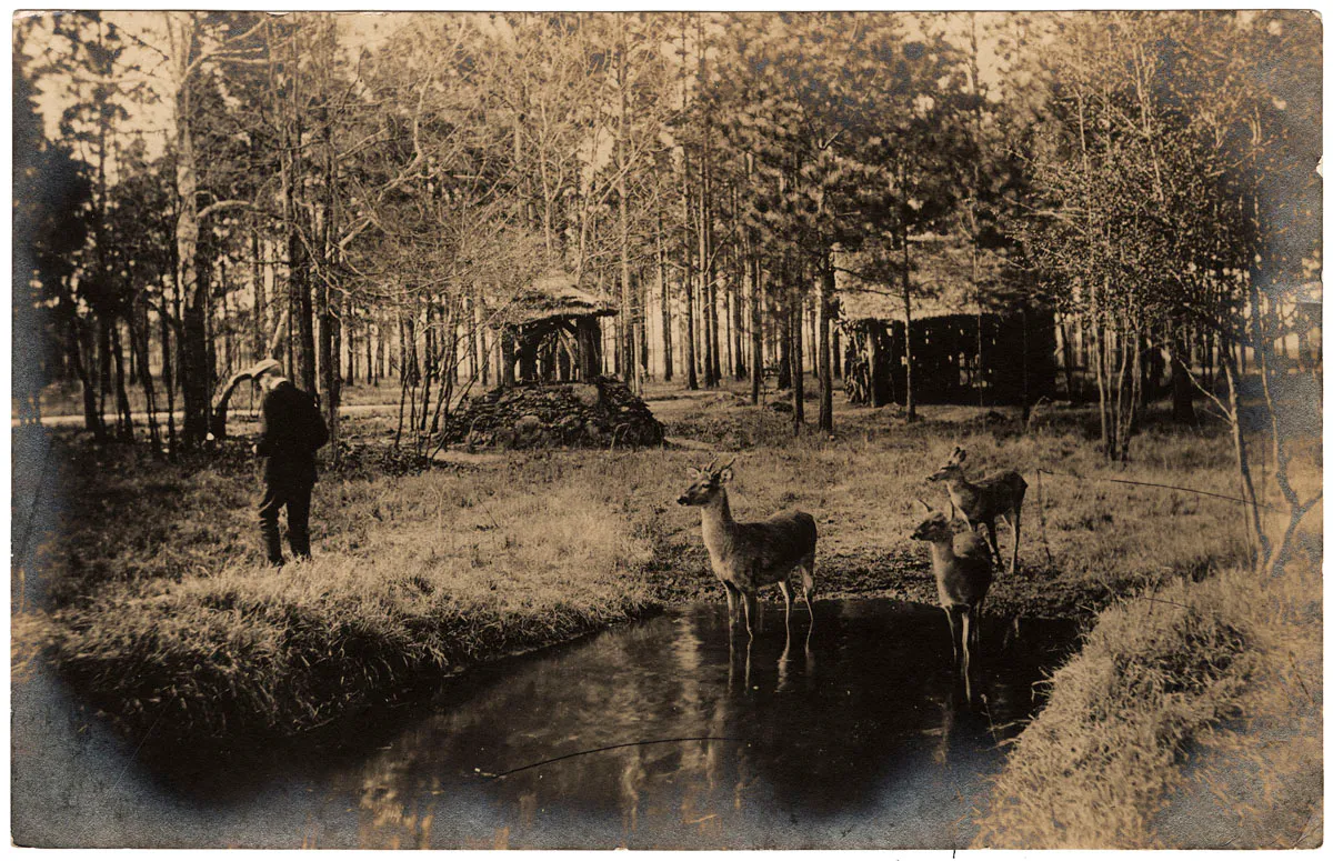 Park in Pinehurst, 1906, North Carolina