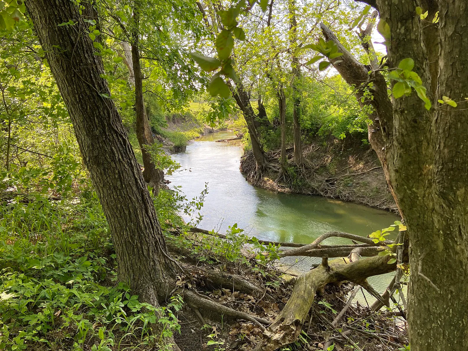 Rowlett Creek in Oak Point Park, Plano, Texas, USA