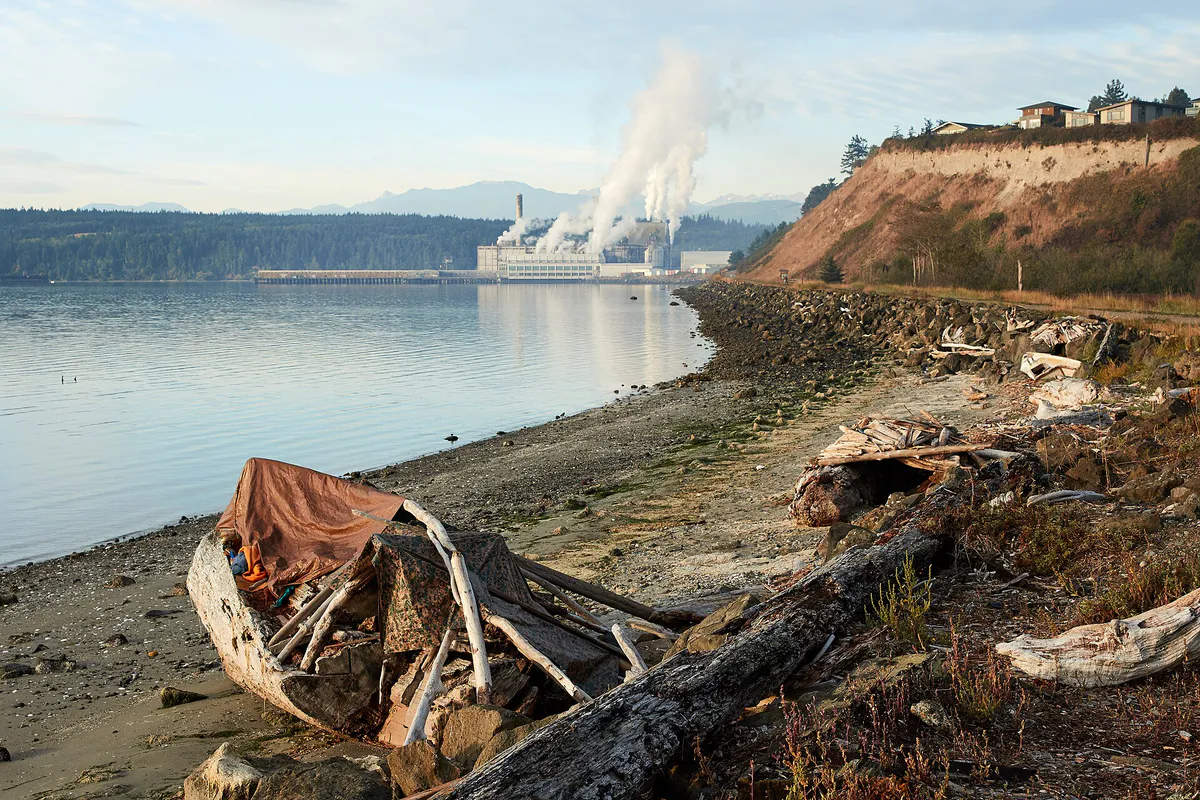 Port Townsend – living under driftwood, Washington