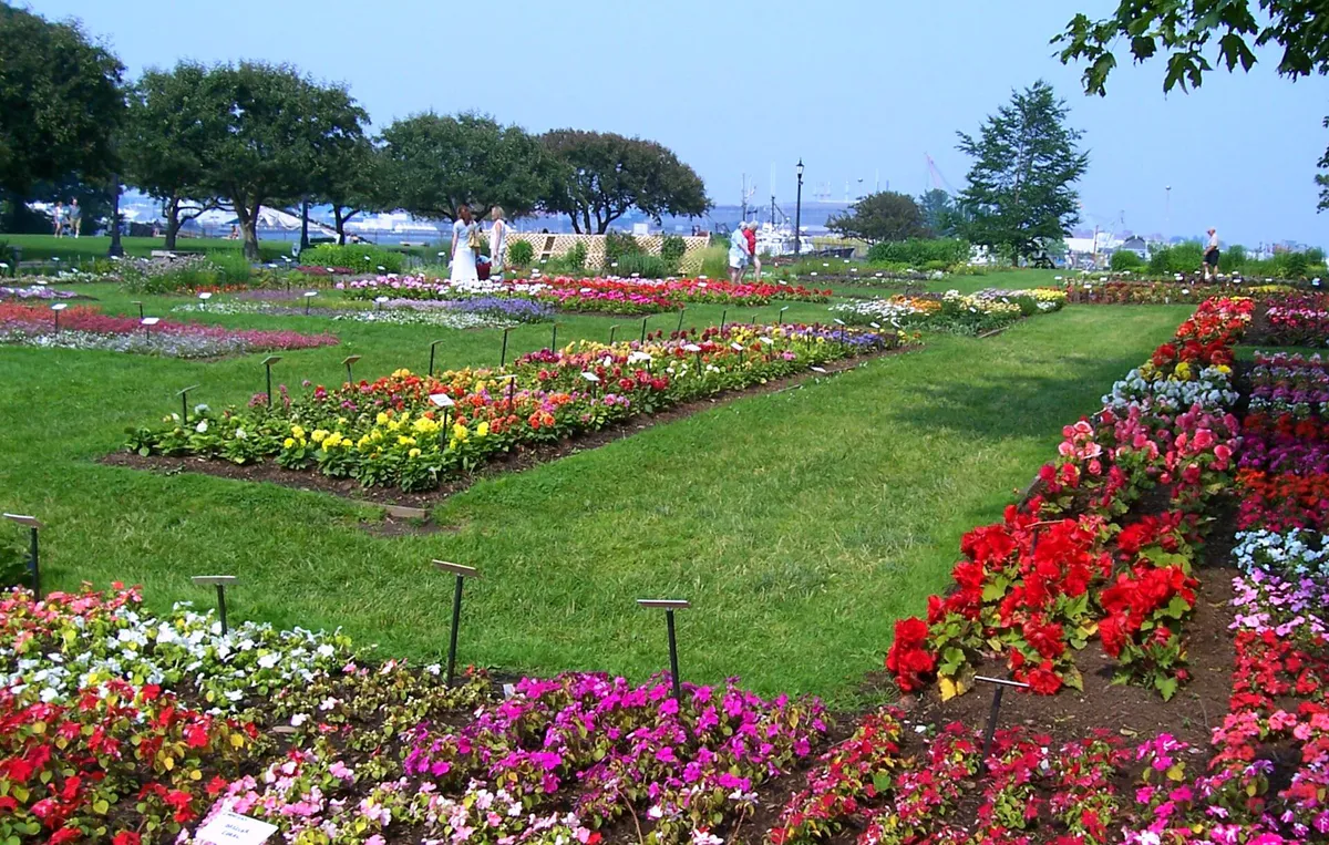 This Garden is an All American! (3573302886) in Portsmouth, New Hampshire