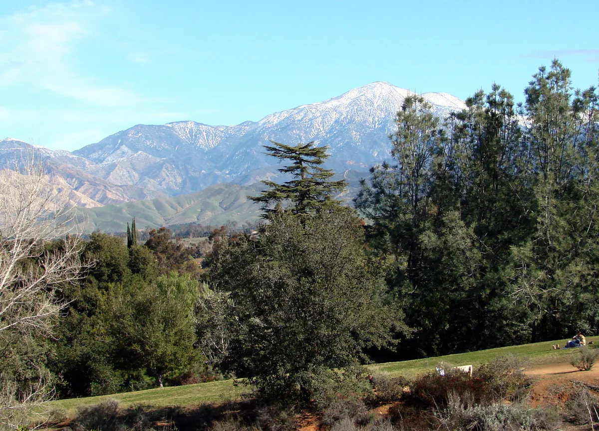 Mt. San Gorgonio from Caroline Park, Redlands (5894626531), California