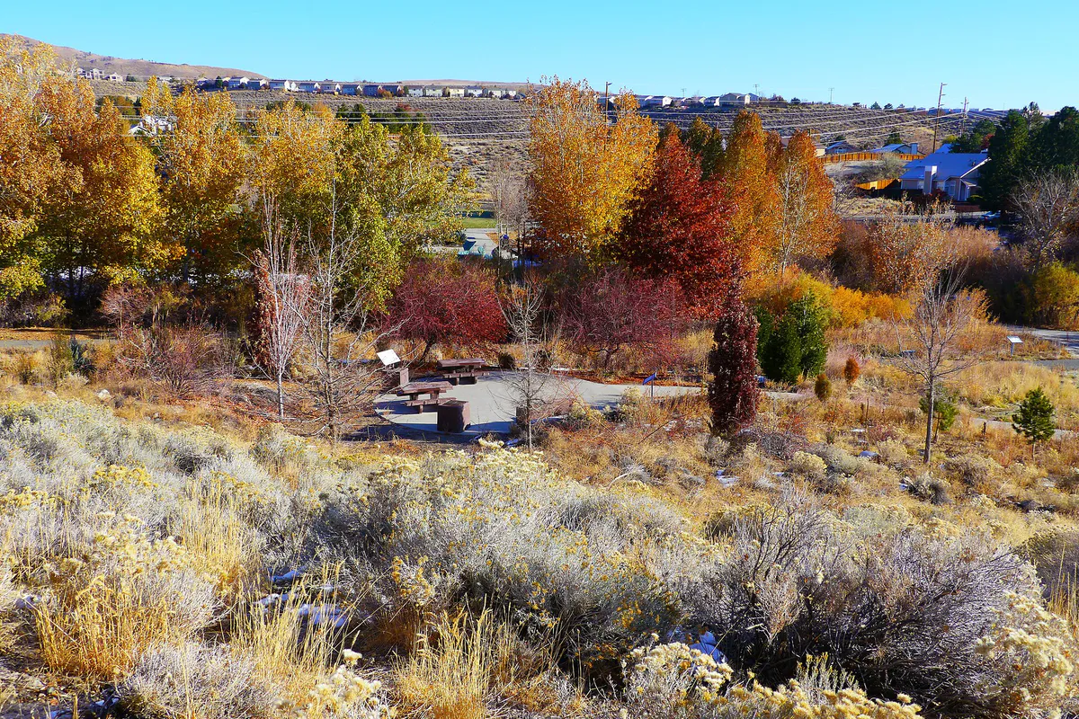Looking down at Valley Wood Park in Reno, Nevada
