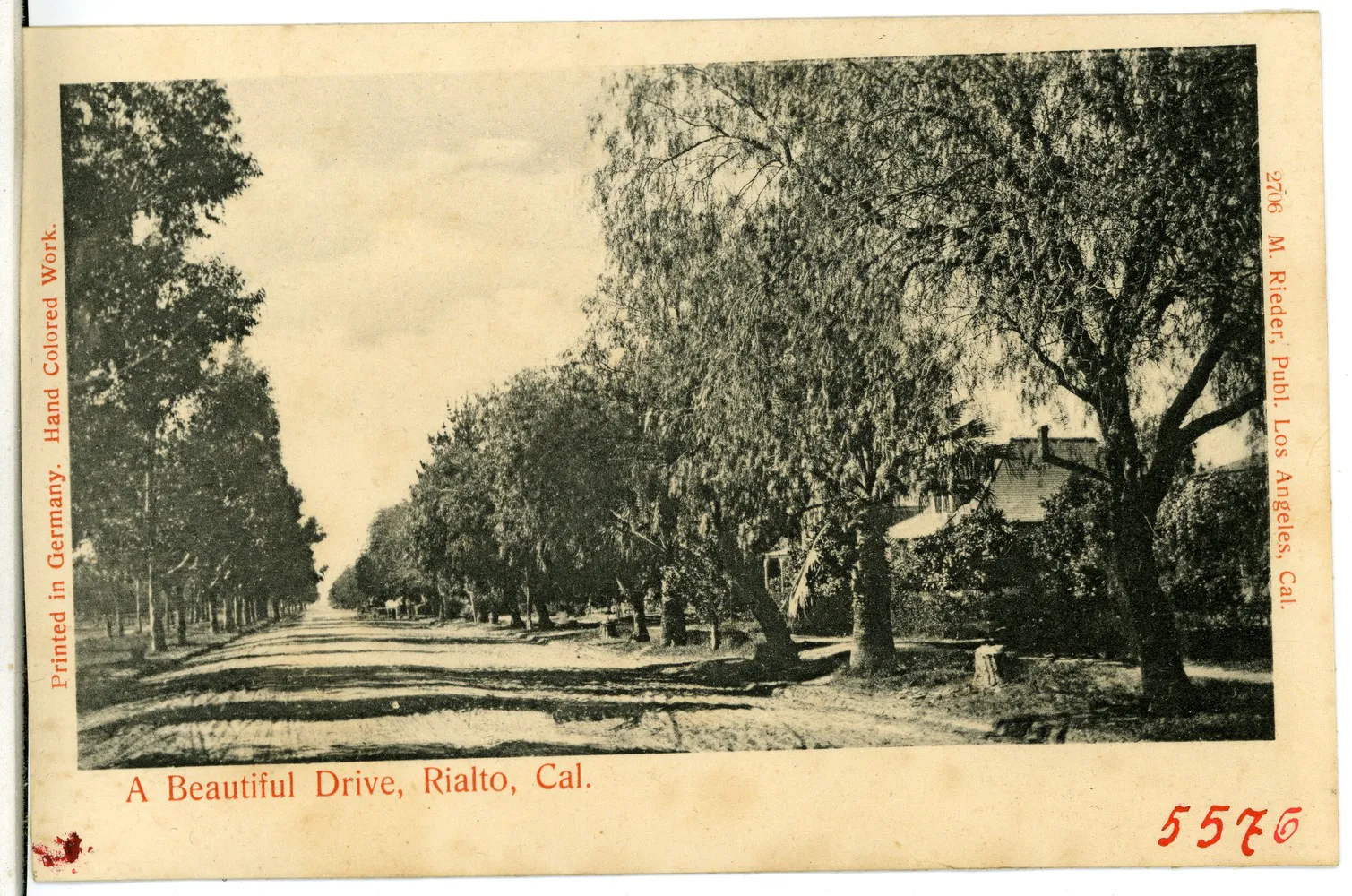 05576-Rialto-1904-A Beautiful Drive, Rialto, California-Brück & Sohn Kunstverlag