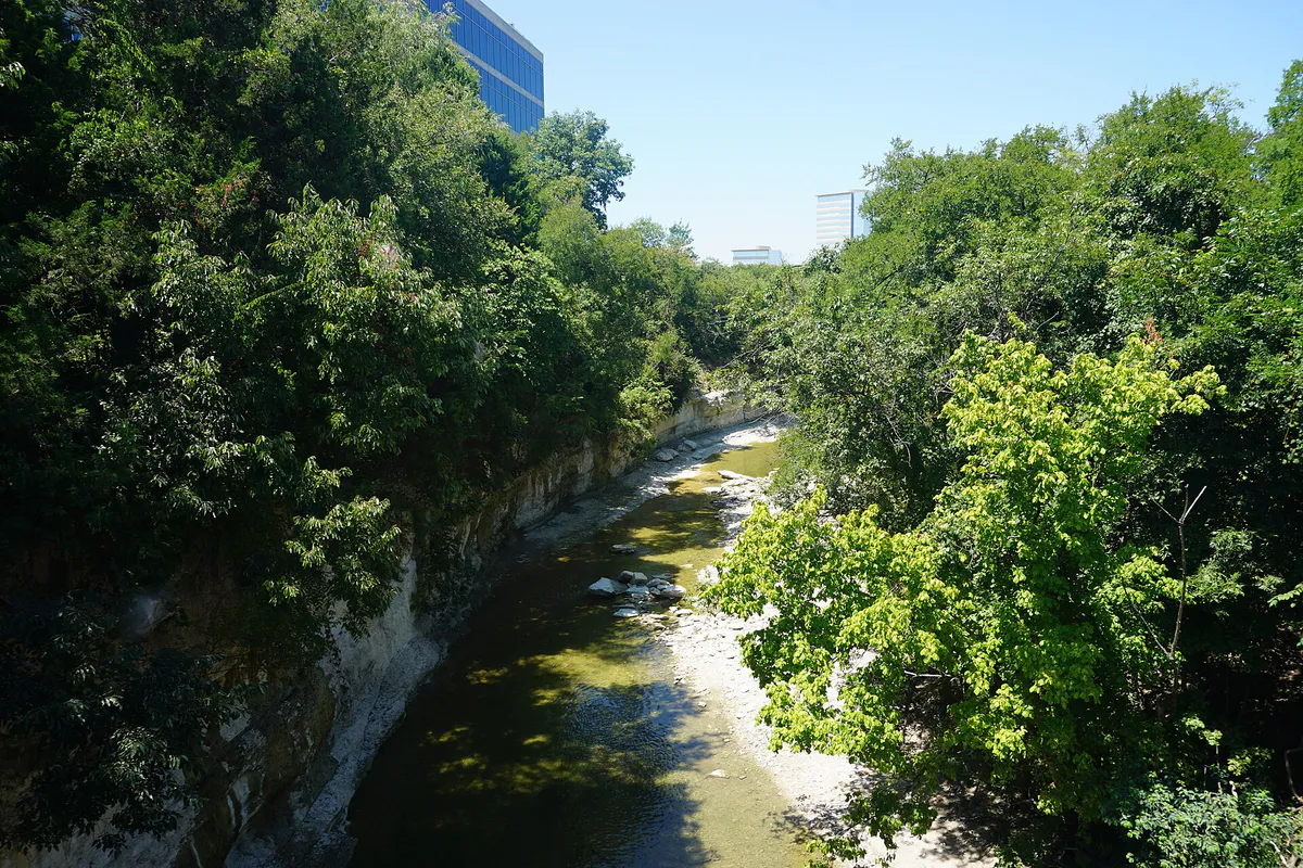 Richardson August 2019 12 (Spring Creek), Texas