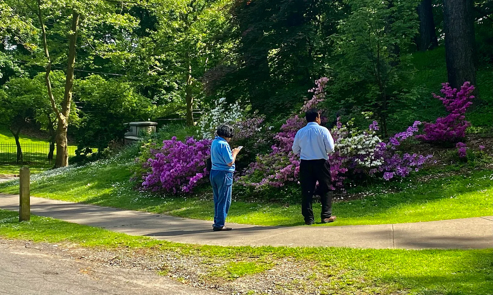 Highland Park, Rochester, New York - 20220525 - 16
