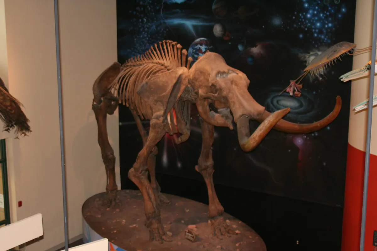 Burpee - Columbian Mammoth 1 in Rockford, Illinois