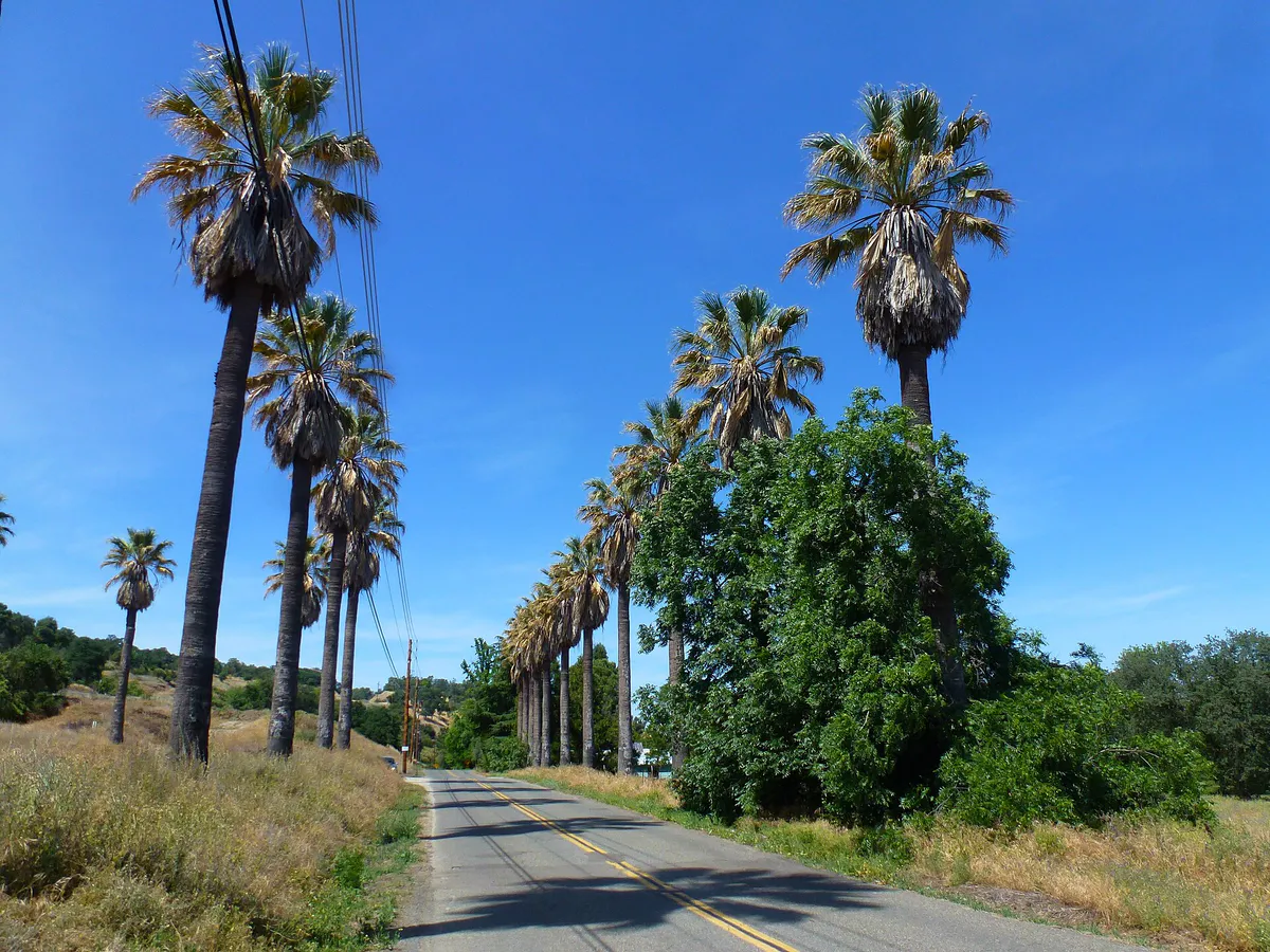 View N, Delmar Ave, Rocklin, CA 2013 - panoramio, California