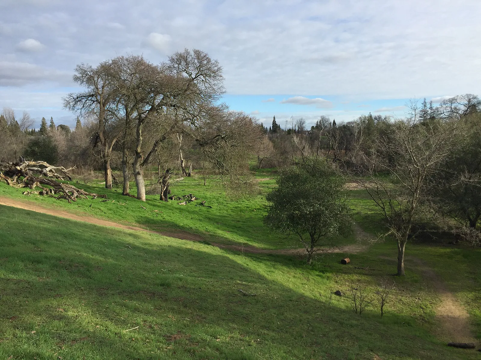 Maidu Regional Park January 2016 (24596725055) in Roseville, California