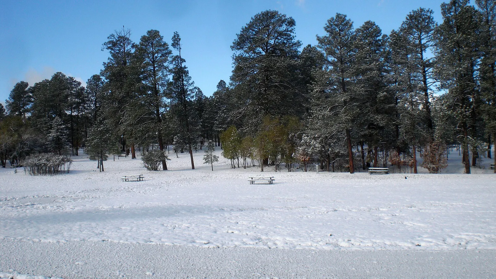 October snow (4061058606) in Ruidoso, New Mexico