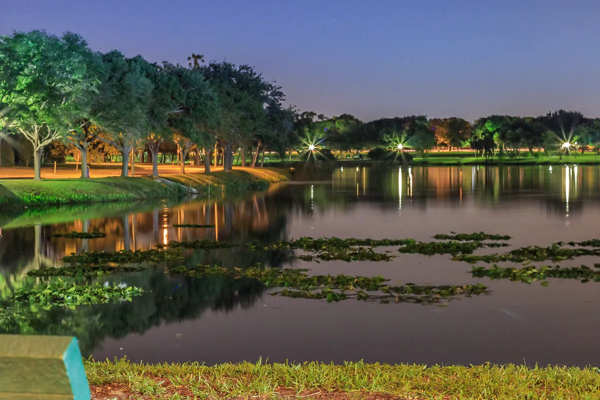 Crescent Lake Park at Night, St. Petersburg Florida in Saint Petersburg, Florida