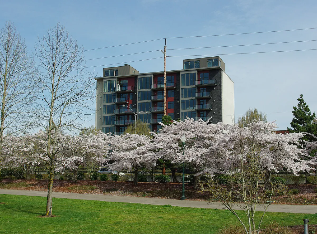 Salem Riverfront Park blossoms - Oregon