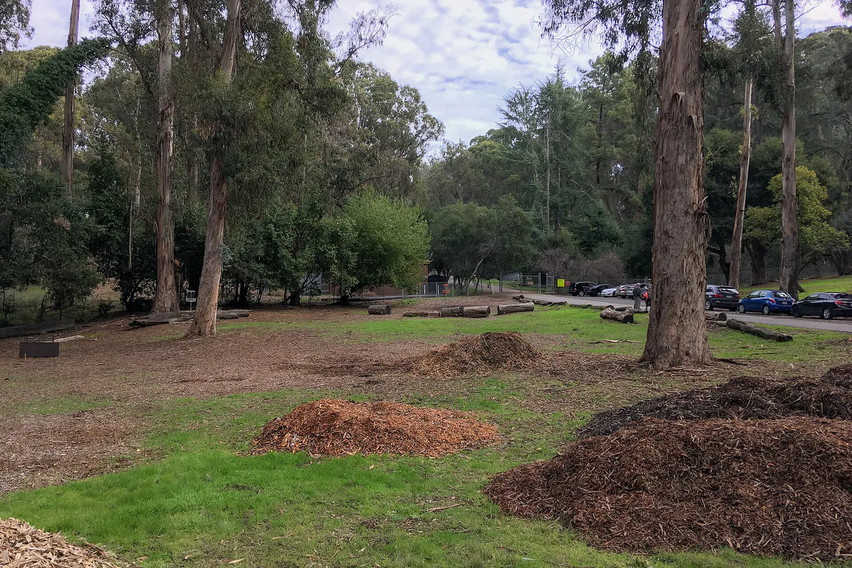 Chabot Park, San Leandro, California, US