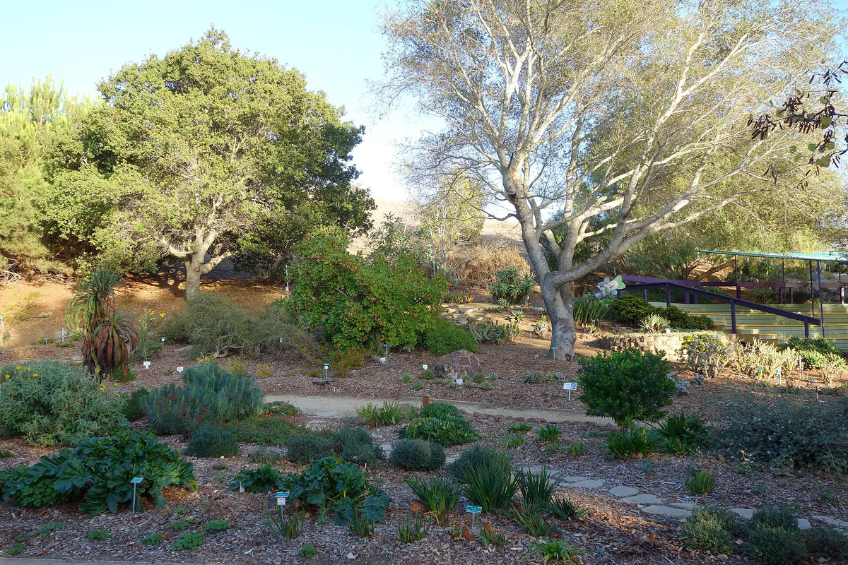 San Luis Obispo Botanical Garden - San Luis Obispo, CA - DSC05872, California
