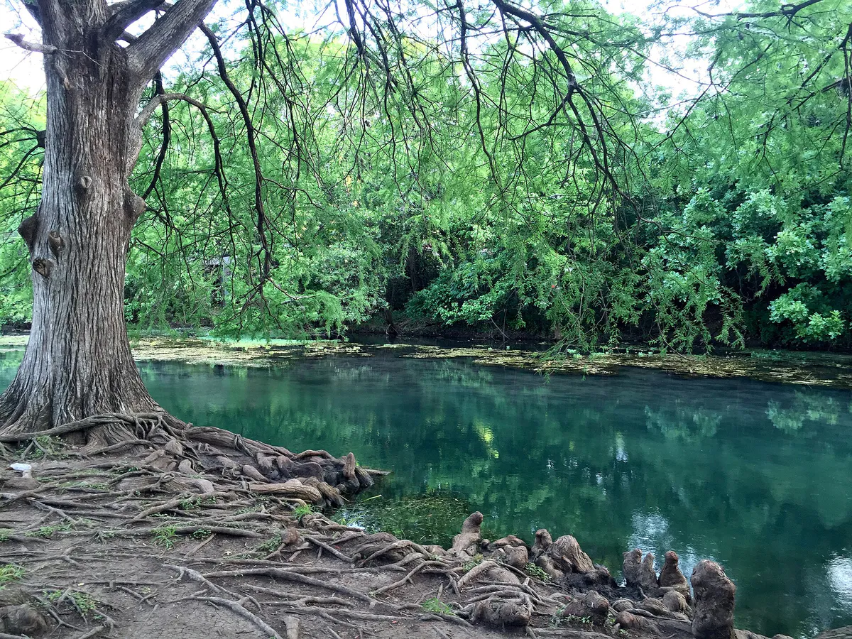 San Marcos River at Rio Vista Park, Texas
