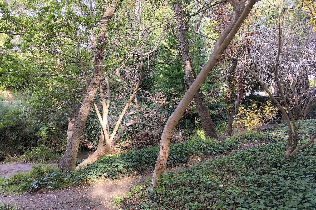 DeAnza Historical Park, San Mateo, California, US