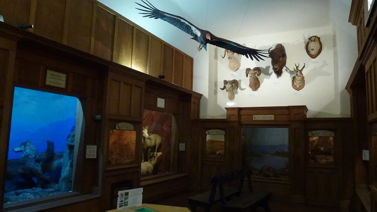 Mammal Hall at the Santa Barbara Museum of Natural History, California