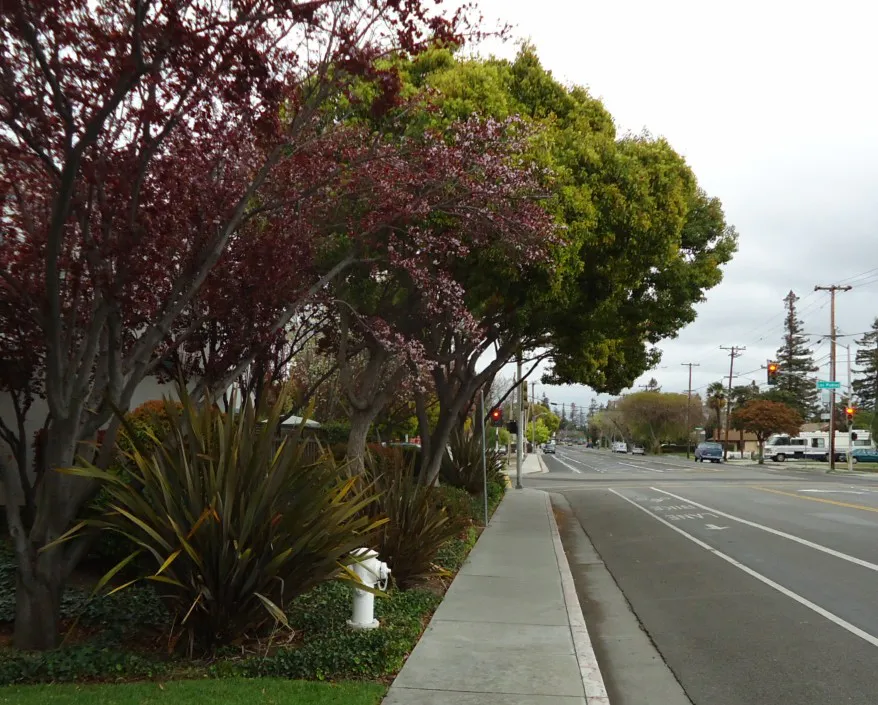 Homestead Boulevard Santa Clara California Street
