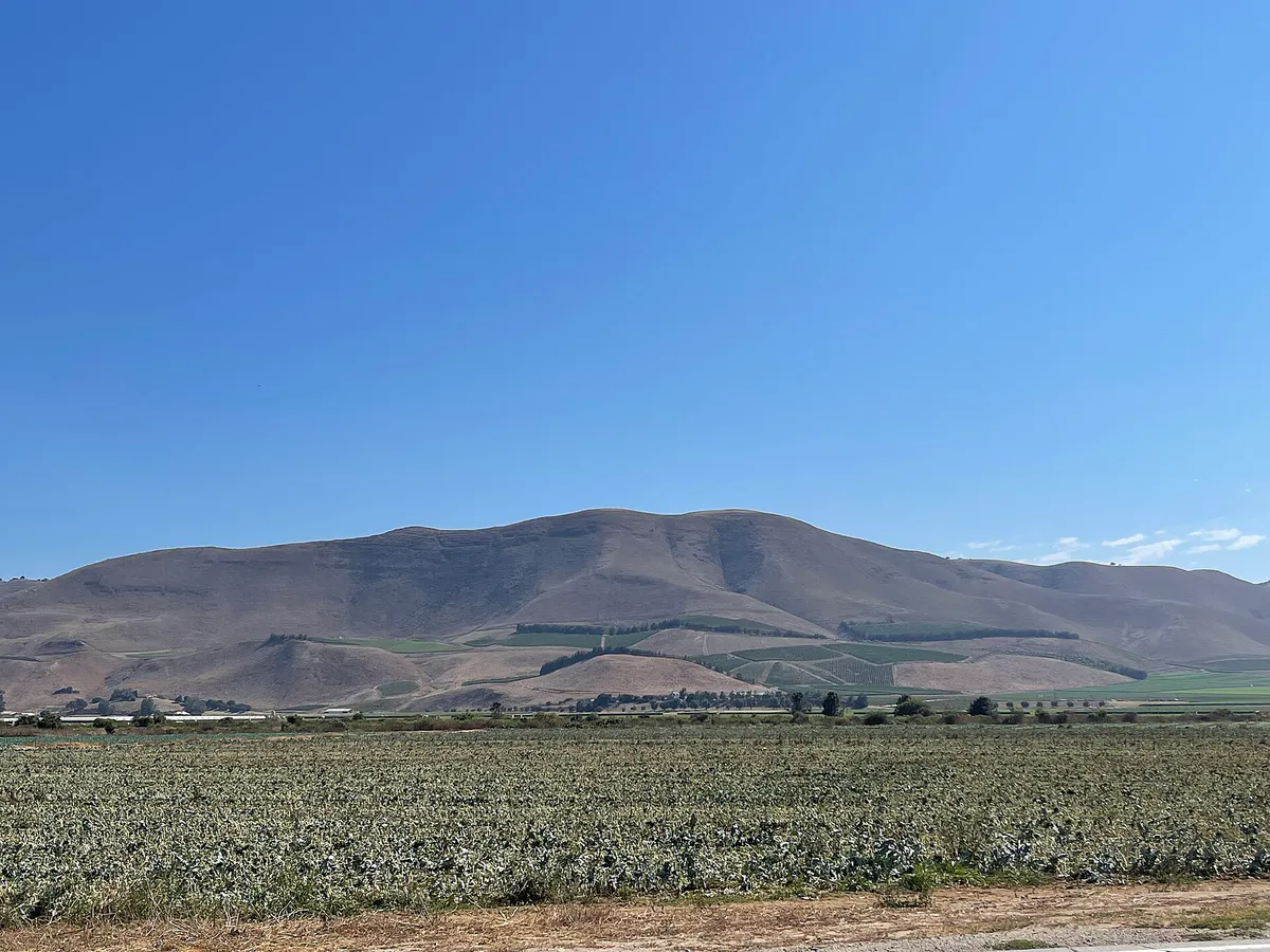 View from road in Santa Maria - September 2023 - Sarah Stierch 02, California