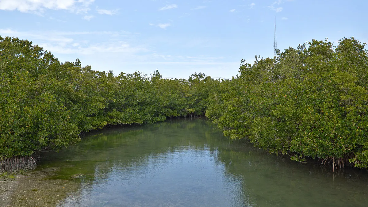 Ken Thompson Park - Sarasota, Florida 2023-01-23 (01)