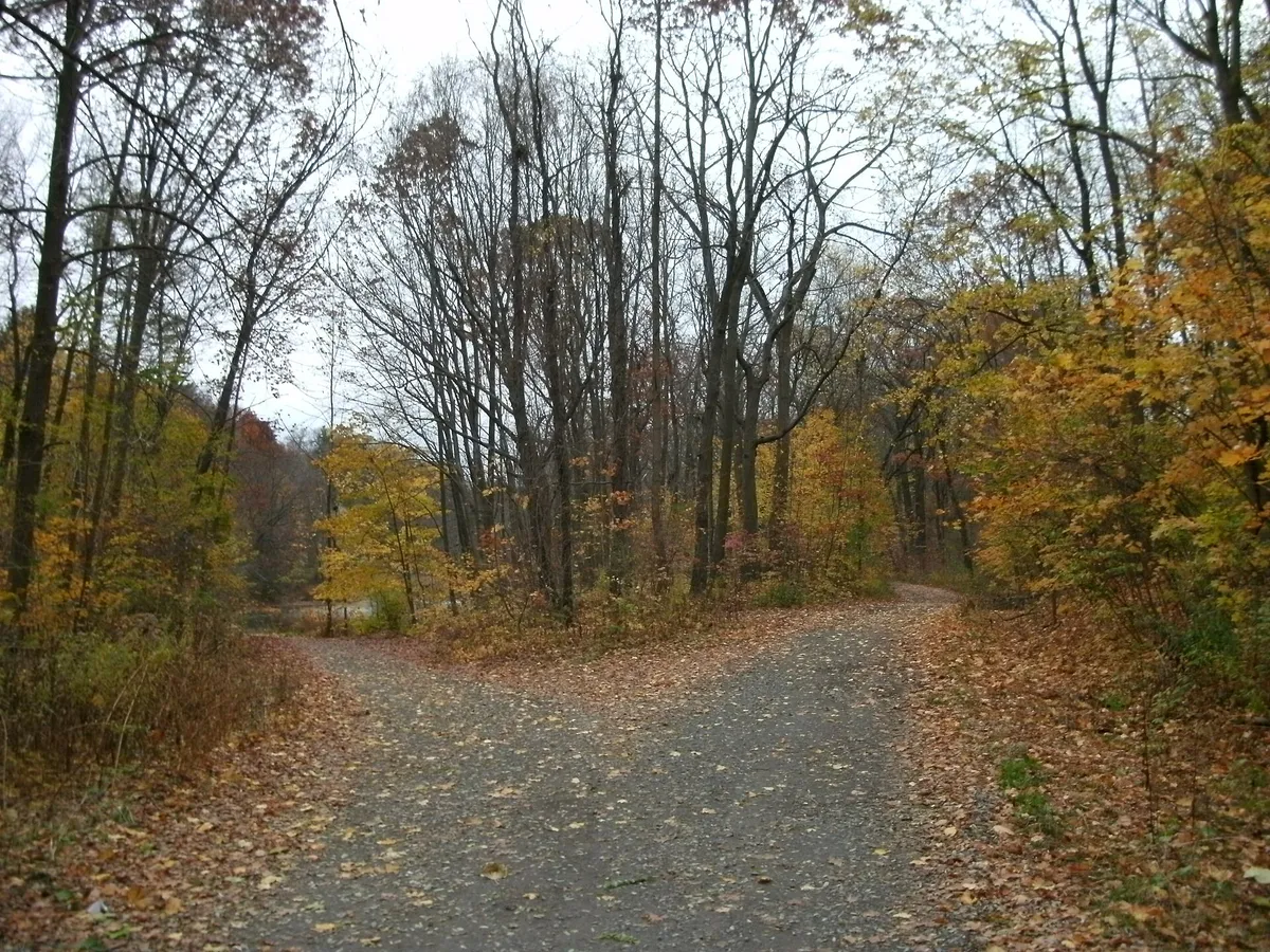 Vale Park - Schenectady, New York - 5159367163