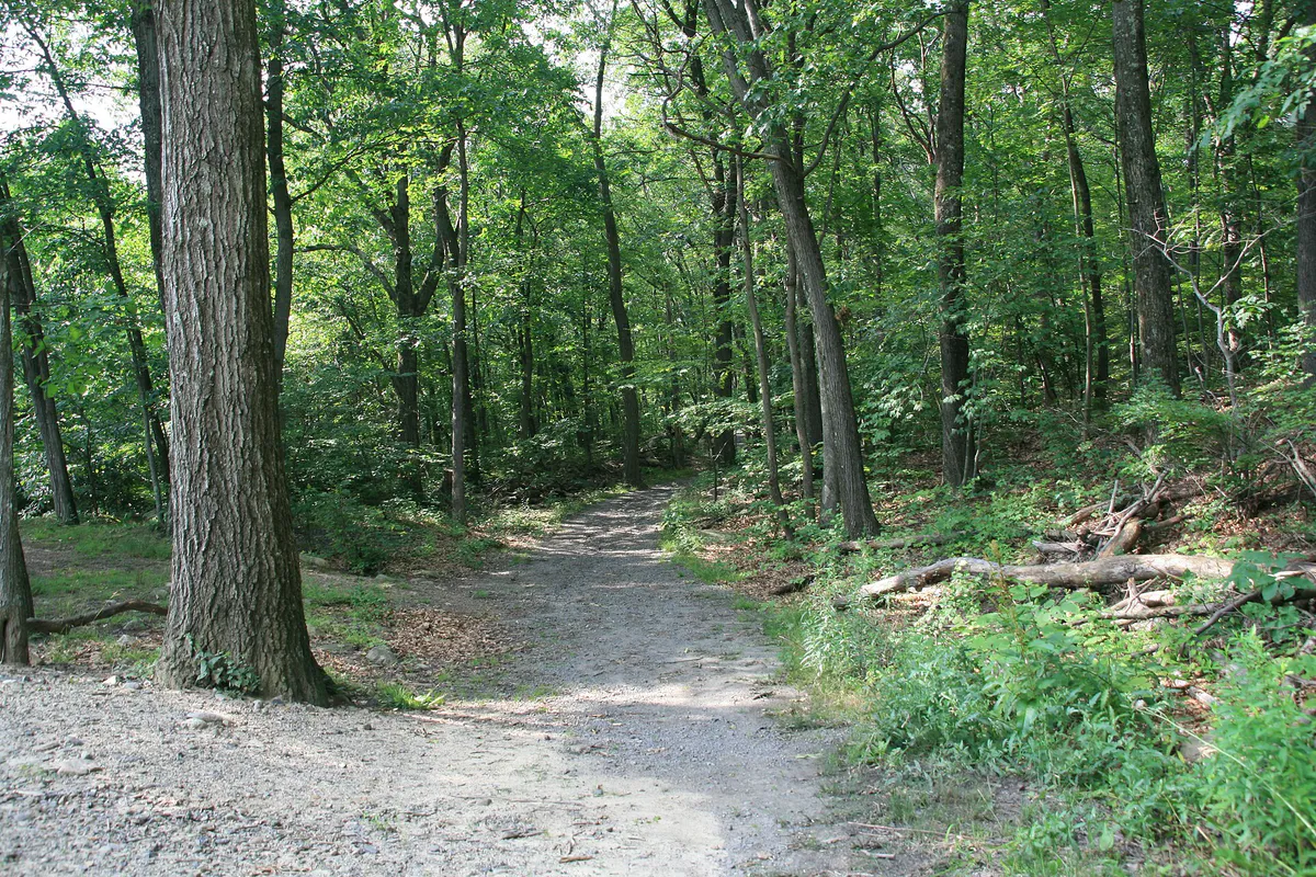 McDade Park upper walking trail in Scranton, Pennsylvania