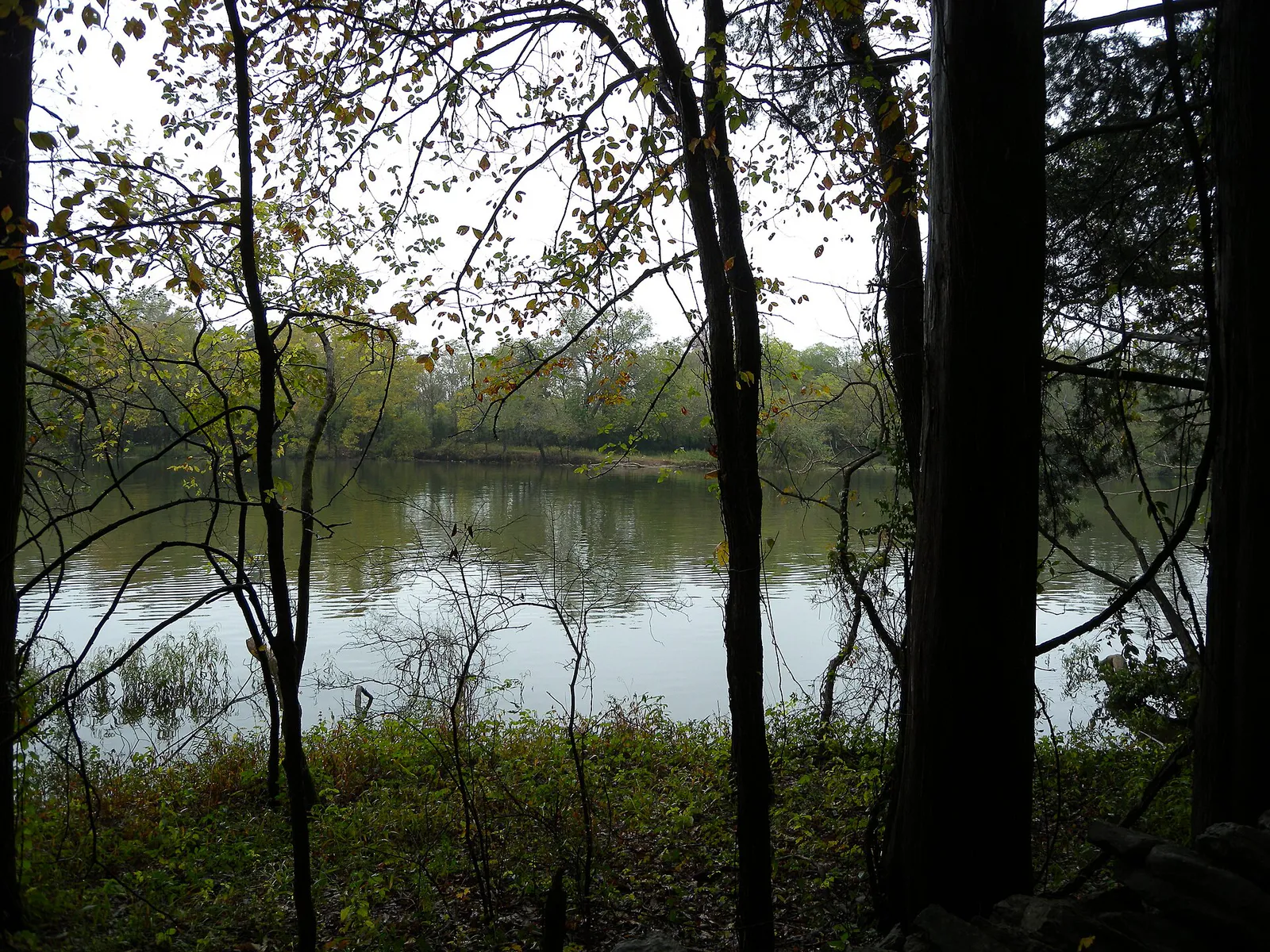 A view of the Cumberland River from the Old Jefferson Trail in Smyrna, Tennessee (7c203ae5-7667-4d0f-a7f3-ddda96482335)