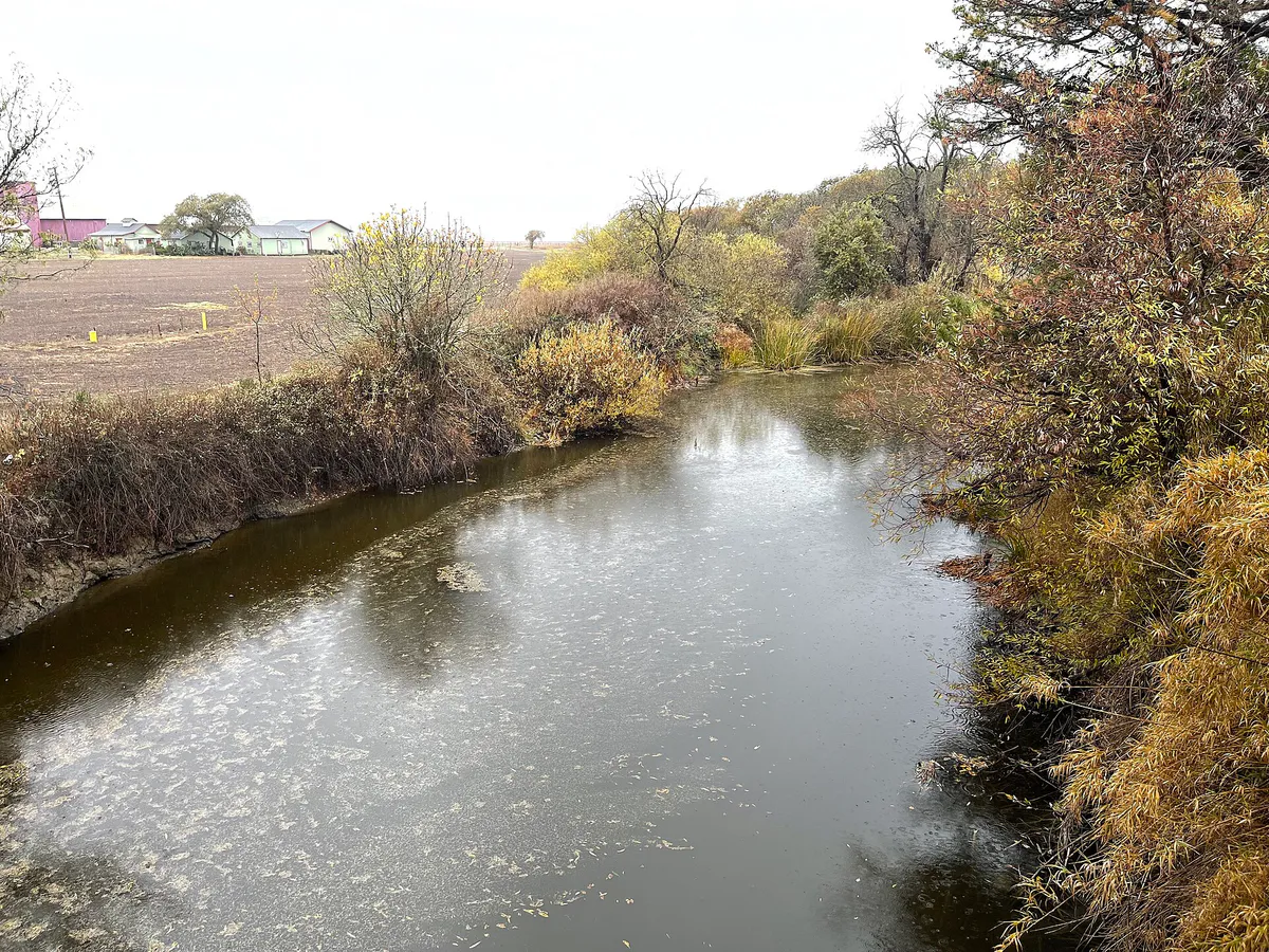 Sonoma Creek - December 2022 - Sarah Stierch, California