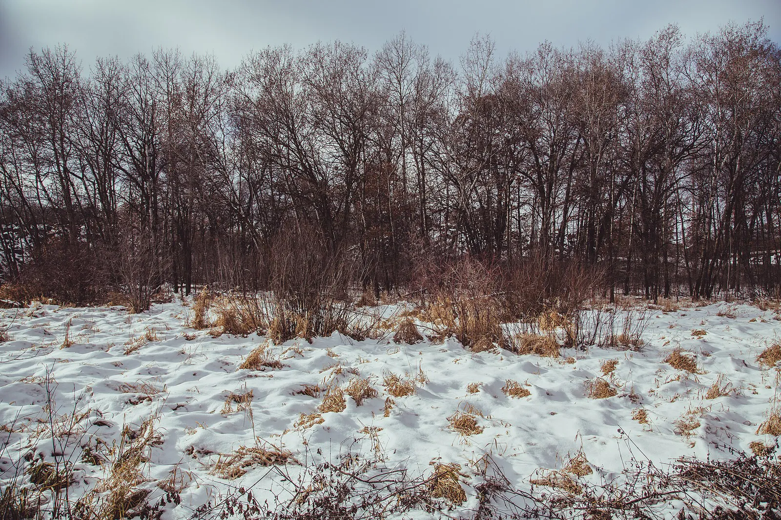 Quarry Park and Nature Preserve, St. Cloud, Minnesota (24055122832)