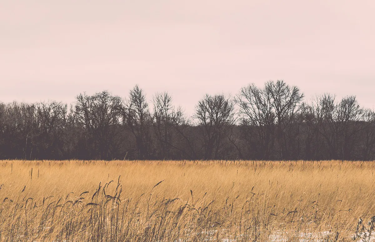 River Bluffs Regional Park, Saint Cloud, Minnesota (24170208696) in St. Cloud, Minnesota