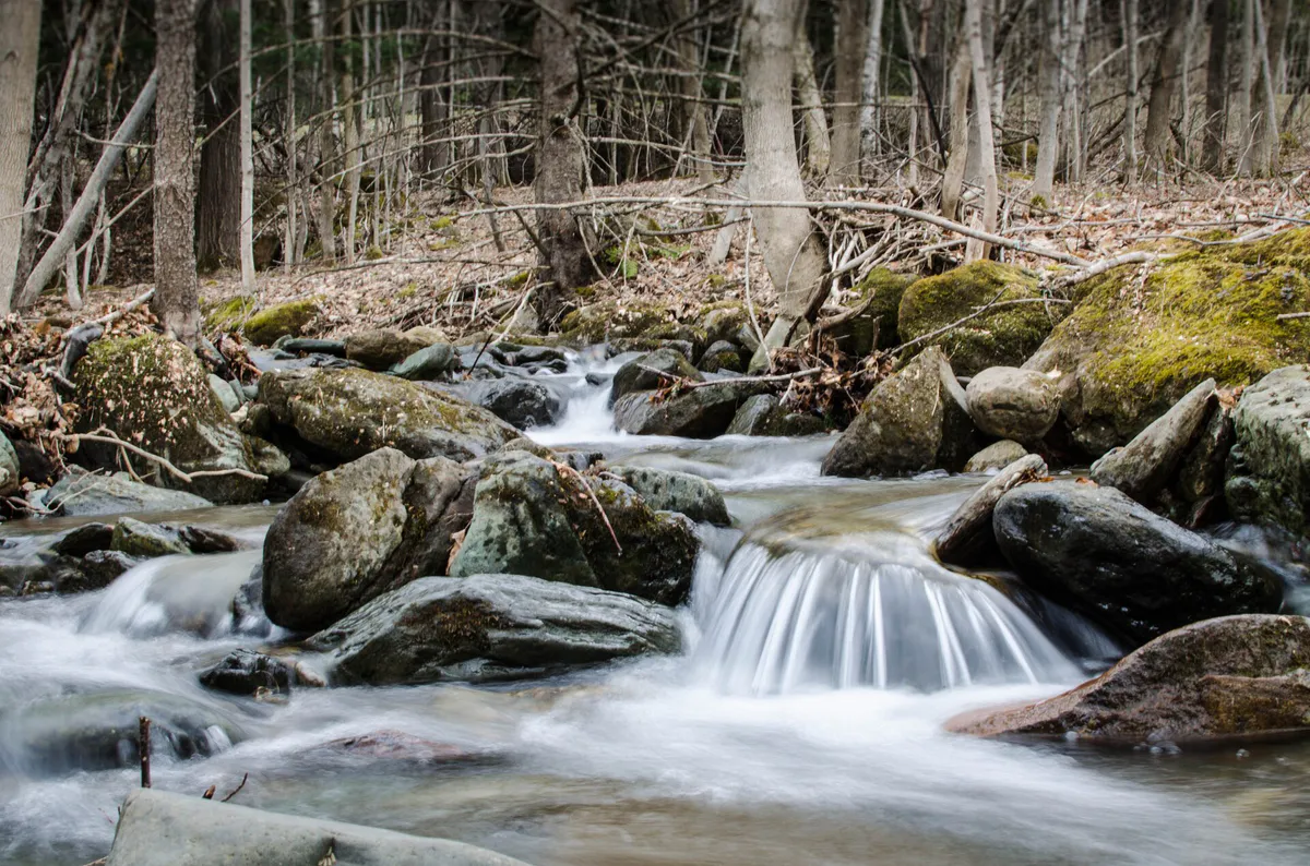 Spring River (32116539) in Stowe, Vermont