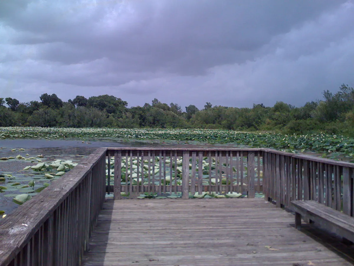 Cullinan Park, On the Walkway, Facing West - panoramio in Sugar Land, Texas