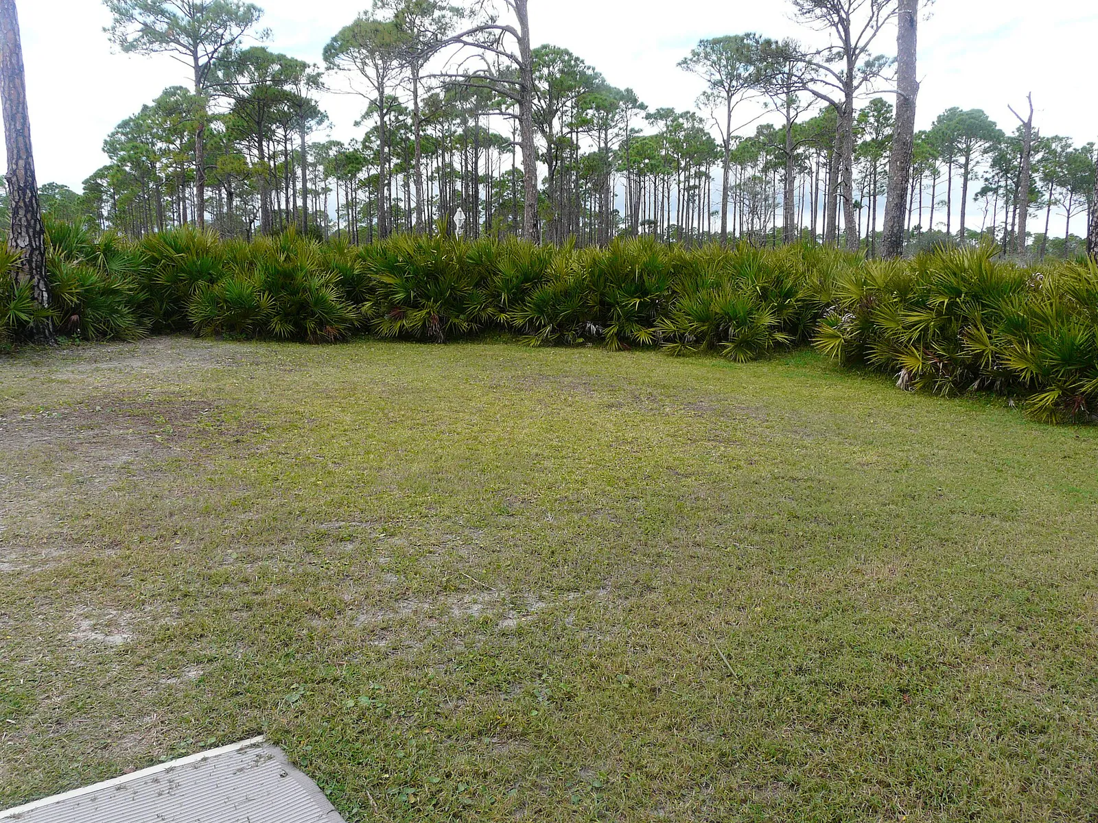 Bald Point State Park Sunrise Beach former parking area, Florida
