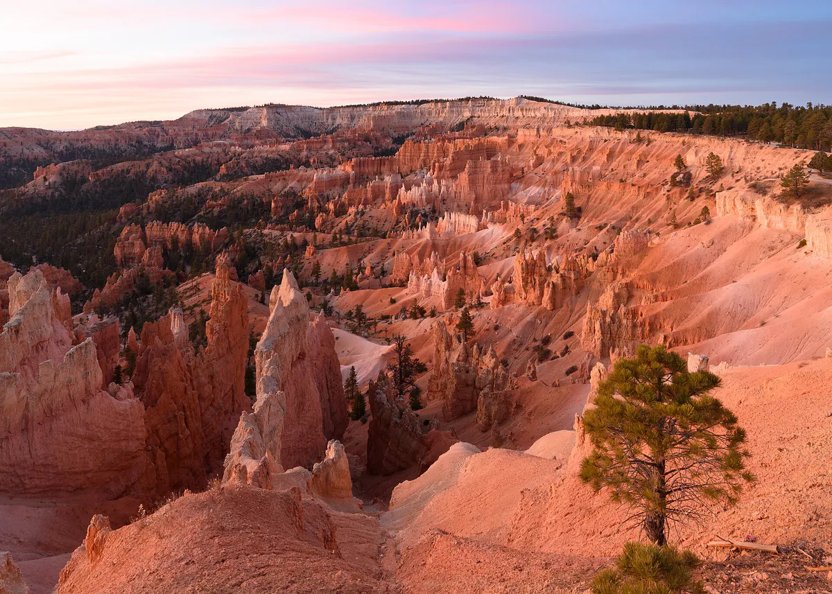 Sunrise Point Bryce Canyon November 2018 002, Florida