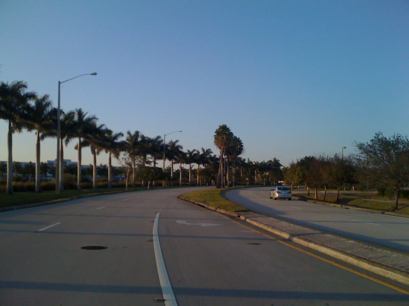 Tree-lined Hiatus Road in Tamarac, Florida - panoramio (2437)