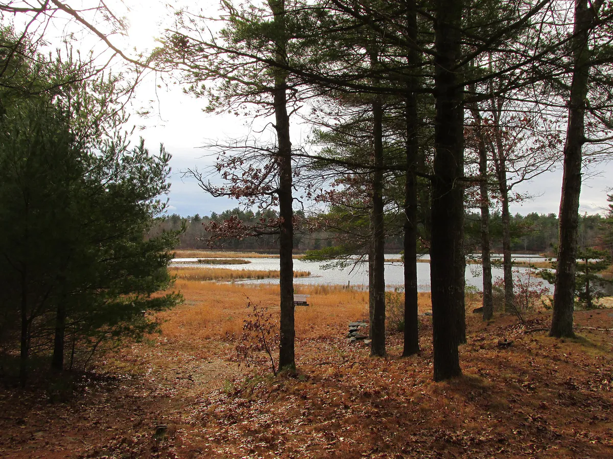 Middle Pond, Massasoit State Park, Taunton MA, Massachusetts