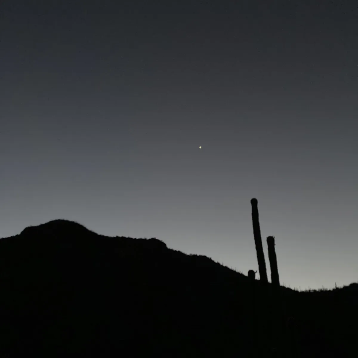 Sabino1200 in Tucson, Arizona