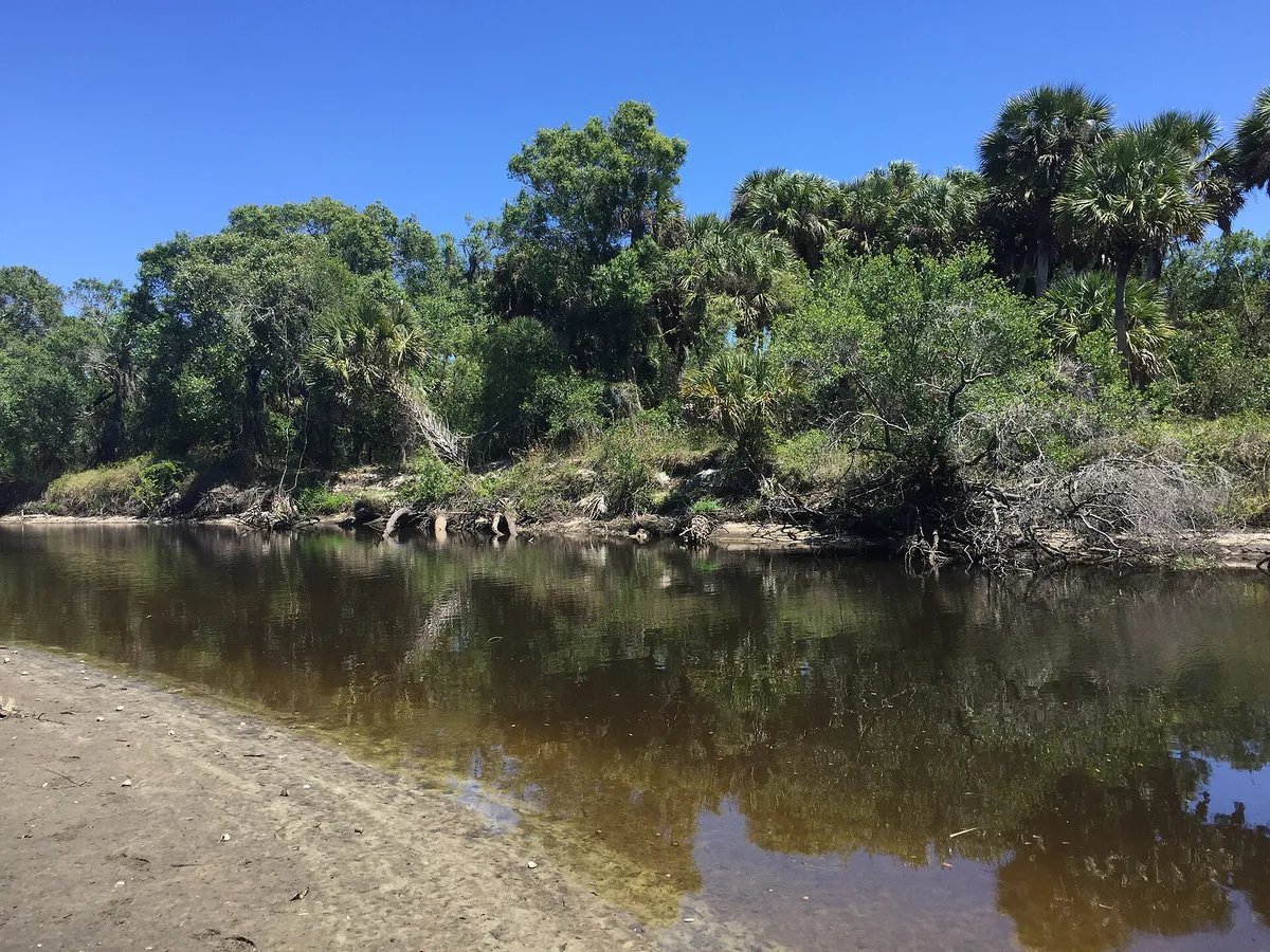 MyakkaRiverVeniceFL, Florida