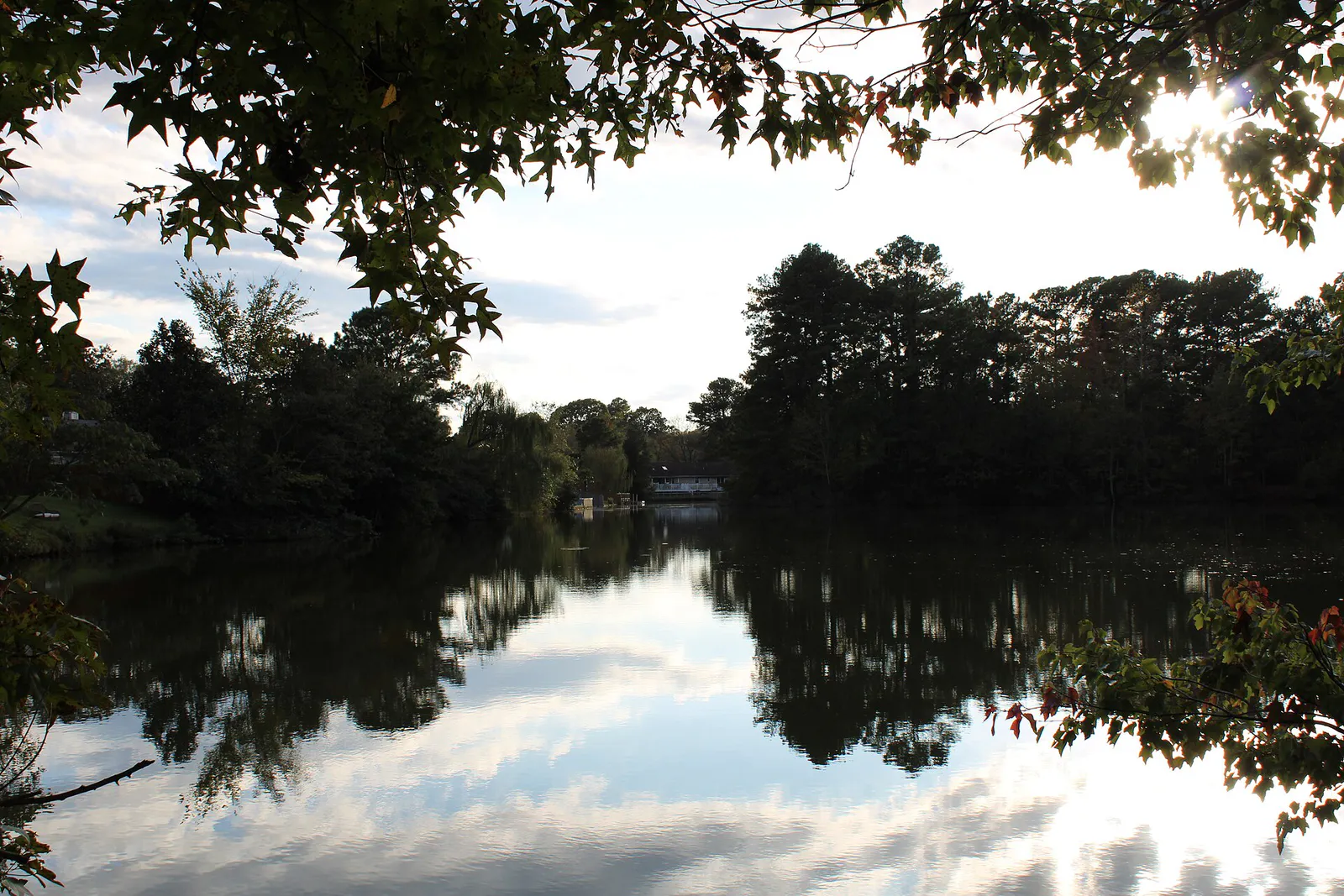 "Mirror Lake" at Lake Placid Park in Virginia Beach, Virginia 01