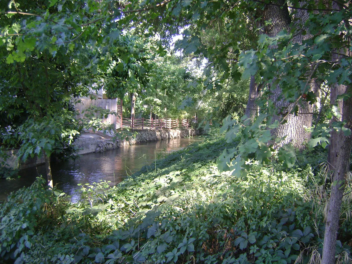 Mill Creek, Visalia, California