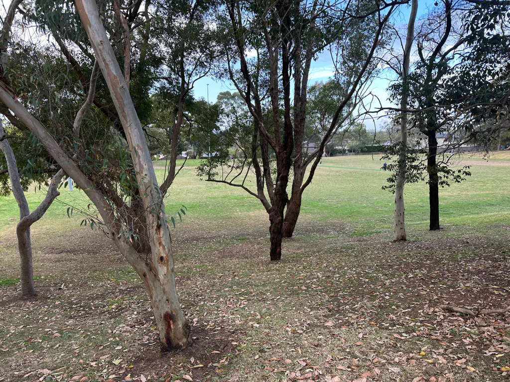 Westminster Park, Gladesville 01, California