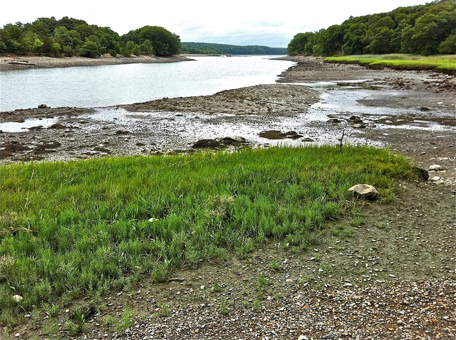 Weymouth Back River from shore Great Esker Park (esker on right) end July 2012, Massachusetts